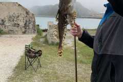IMG-dddf4c32696160cbf80e7d7c1cc66b1d-V