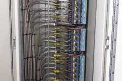 IMG-20210813-WA0011