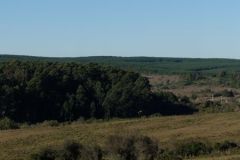 urugvai_2016_15_20190528_1742666191