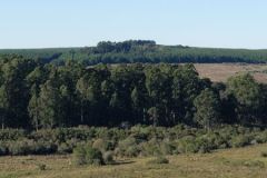 urugvai_2016_4_20190528_2000054969