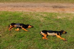 urugvai_2016_7_20190528_1407432862