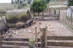 urugvai_2017_108_20190528_1364024304