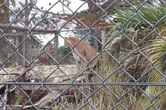urugvai_2017_79_20190528_1368294225