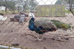 urugvai_2017_84_20190528_1096228172